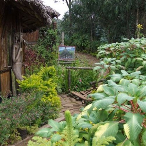 Mount Kilimanjaro View Lodge Moshi Exterior photo