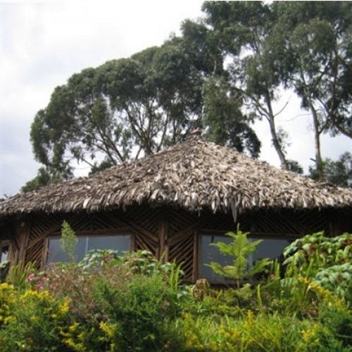 Mount Kilimanjaro View Lodge Moshi Exterior photo