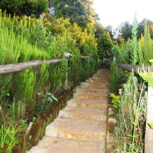 Mount Kilimanjaro View Lodge Moshi Exterior photo